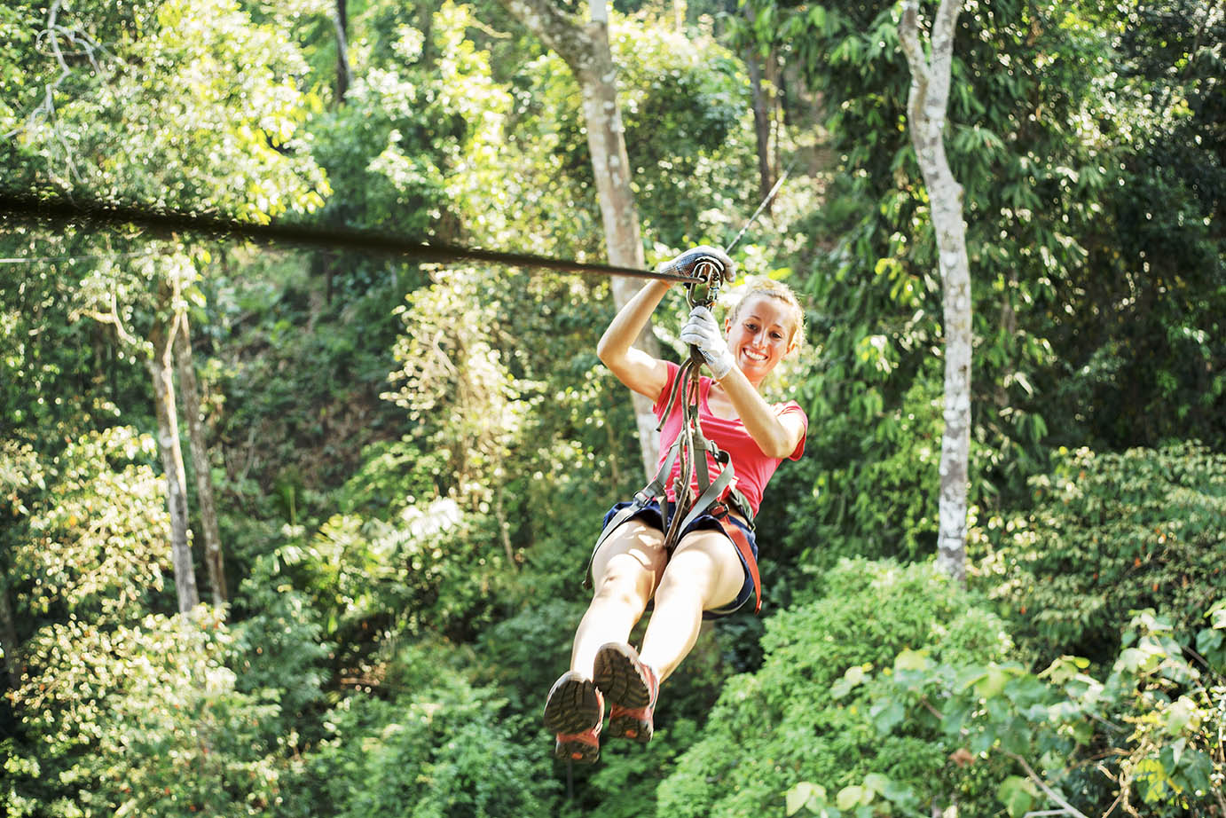 TreeVentures Zipline