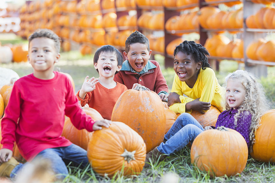 Pumpkin Patch